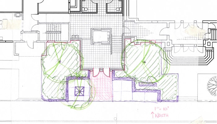 color pencil layout of new landscaping